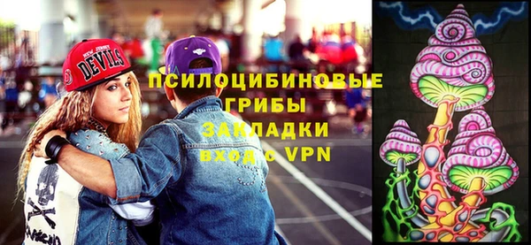 мескалин Богданович