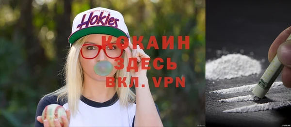 кокс Бородино