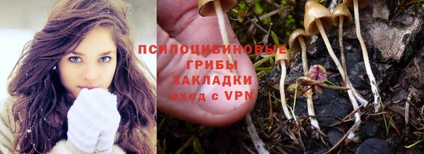 гашиш Богородицк