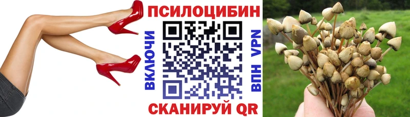 где купить наркоту  Кизел  Галлюциногенные грибы Magic Shrooms 