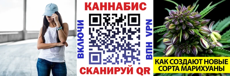 Канабис конопля  Кизел 